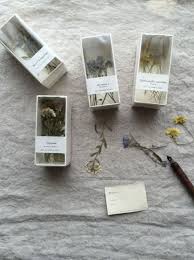 для ухода за цветами в доме творчества 10 упаковок Pin By Mari On Herbarium Pressed Flowers Pressed Flower Art Dried Flowers