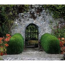 Gothic Entrance Gate Walled Garden Ardsallagh Co Tipperary Ireland Canvas Art The Irish Image Collection Design Pics 15 X 13 Walmart Com Gothic Garden Garden Wall Entrance Gates