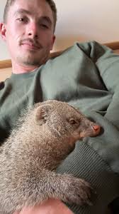 Cindy the Baboon and her Meerkat friend! 🥰😍 #meerkat #monkey #animallover  #cuteanimals #funnyanimals