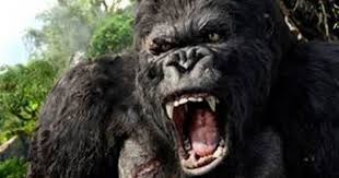 King Kong 2005 Hd English Sub King Kong King Kong 2005 King Kong Movie