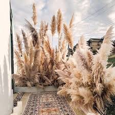 Small Amounts Of Pampas Grass Would Add An Interesting Textural Element Which Makes An Arrangement A Decoracion De Unas Hierba De La Pampa Decoracion De Patio