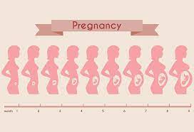 Follow good prenatal habits each day, like eating healthfully and taking prenatal vitamins. Pregnant Belly Pictures Week By Week