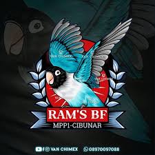 Download gambar sketsa lovebird gambar mewarnai gambar burung unik via gambar.co.id. 19 Gambar Logo Burung Aplikasi Baca Terpopuler Lingkar Png