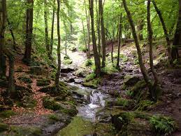 1st recording from belgium improv band ninglinspo. Ninglinspo River Hike Ardennes Etape
