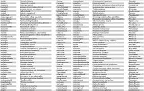 Image result for Hibiscus nigricaulis