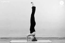 Sirsasana Ii Tripod Headstand Yogea Yoga Outside Of The Box Headstand Yoga Postures Isha Yoga