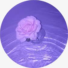 See more ideas about purple aesthetic, purple, violet aesthetic. Purple Rose Png Purple Aesthetic Wallpaper Tumblr Iphone Hd Png Download 6197297 Png Images On Pngarea