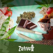 They're low in calories but still truly delicious. Top 5 Healthy Snacks For Stoners Zativo