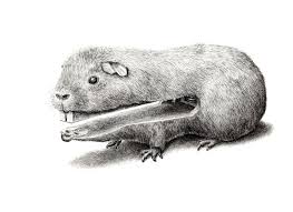This subreddit is checked often by the creator of the game. Surreal Illustrations Of Animal Human And Object Hybrids