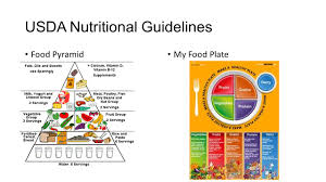 Nutrition Proper Nutrition Can Positively Contribute To