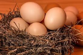 Egg In French Lingopolo