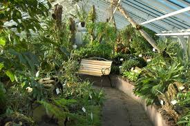 Botanischer garten und botanisches museum berlin) is a botanical garden in the german capital city of berlin. Trfihi Parks Parks Botanischer Garten Und Botanisches Museum