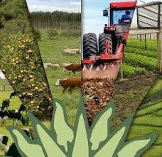 ADMINISTRACION DE EMPRESAS AGROPECUARIAS - NUESTRO FUTURO