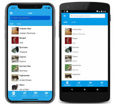 Xamarin Forms 4 2 0 Hits Ga Collectionview Updates Xamarin Blog App Development Development Programme Manager