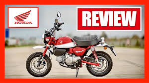 Three things to know about the updated 2021 honda grom. 2021 Honda Grom Msx125 Motorcycle Review Youtube