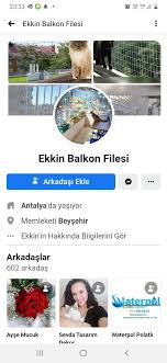 benim kuzularim panosundaki pin