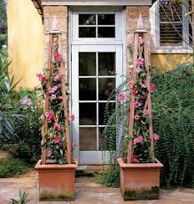 Annual flowering vines for pots. Best Climbing Plants Mandevilla Container Plants Plants Climbing Plants