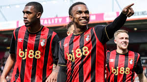 AFC Bournemouth 3-0 Crystal Palace: Cherries move sixth with comfortable win