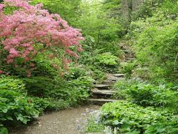 19 Secret Spots In Massachusetts Where Nature Will Completely Relax You Garden In The Woods Woodland Garden Native Plants