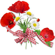 Résultat de recherche d'images pour 