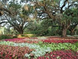 Bj Miller Ted Talk Summary 12 Things You Should Be Doing On Your Next Trip To South Carolina Trust Us In 2020 South Carolina Travel Outdoor Dates South Carolina