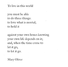 Mary Oliver Maryoliver Quotes Words Thoughts Poetry Poem Book Deep Toliveinthisworld Love Mortal Holdit Knowing Your Mary Oliver Quotations Words