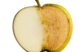 Read the most important product reviews and follow the tech news and more. Why Do Apple Slices Turn Brown After Being Cut Scientific American
