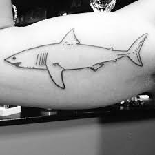 Little Shark Outline I Did Haut Bilder