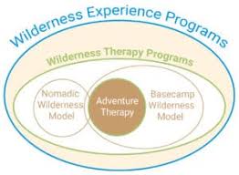 We did not find results for: Wilderness Therapy Programs A Comprehensive Guide For Parents