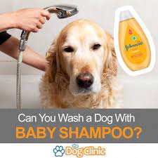 Let's concede that human shampoo will clean your dog, but the question is, is it good for your dog? Can You Use Baby Shampoo On A Dog Quick Answer