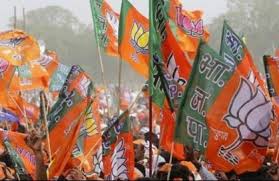 Bjp Leader Quits Over Candidate Selection The New Indian Express