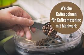 Welche Kaffeebohnen Fur Kaffeemaschine Mit Mahlwerk Kaffeebohnentest Com