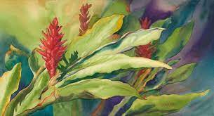 Original Watercolor Painting Titled Evening Fire Of Red Ginger Lit By The Evening Sun On Maui Painting Tropical Painting Fine Art