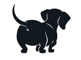 Black And White Dachshund Drawing Cute Dachshund Dog Vector Illustration Isolated On White I Love Dachshunds Text Caption Simple Black Silhouette W In 2020 Dog Vector Silhouette Drawing Sausage Dog
