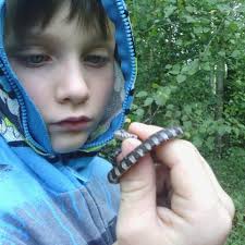 Next up: CONNOR RAY-DULANY!!!! Plans after high school: Study linguistics  Fave swim memory: Dryland practices Fun fact about you: I like to read Swim  meet snack: Pretzels Fave event: 200 Medley Relay