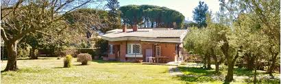 Ingresso, salone doppio, cucina abitabile, disimpegno, camera matrimoniale, bagno, portico e giardino piano s1: Villa In Vendita Con Splendido Parco Alberato Castelli Romani Grottaferrata