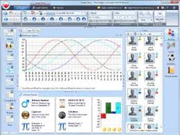Biorhythms Calculator 2010