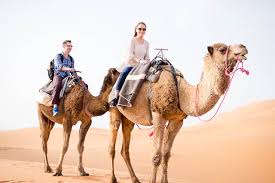 Explore a wide range of the best camel wear on aliexpress to find one that suits you! A Night In The Sahara Morocco Camel Trek Elisabeth Mcknight