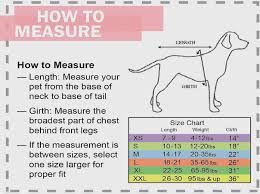 Puppy Feeding Chart By Weight Age Choice Image Free Any