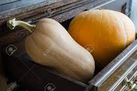 Zwei Kurbisse Rund Und Butternut Lizenzfreie Fotos Bilder Und Stock Fotografie Image 65633671