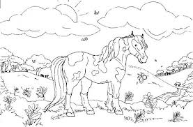 Coloriage Animaux Mignon Facile Dessin Gratuit A Imprimer