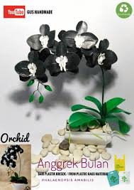 We did not find results for: Bunga Kresek Anggrek Bulan Orchid Phalaenopsis Amabilis Orchids Phalaenopsis Phalaenopsis Orchid