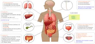 Hypergastrinemia - Causes - Symptoms - Diagnosis - Best Treatment Options | Homeopathic | Best Homeopathic Doctor in Pakistan | Dr Qaisar Ahmed MD, DHMS