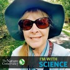 Other Life”: My 18 Still Life Paintings Show The Fleeting Nature Of Life