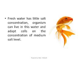 Just as an interesting little factoid, you can pull the same trick in reverse with some kinds of cells. Prepared By Abeer Alhabash Fresh Water Has Little Salt Concentration Organism Can Live In This Water And Adapt Cells On The Concentration Of Medium Ppt Download