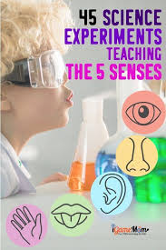 45 Science Activities For Kids To Learn The 5 Senses Scienceexperime Science Activities For Kids Science Experiments Kids Science Experiments For Preschoolers