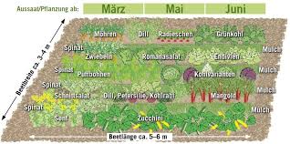 Mischkultur Nutzgarten Pinterest
