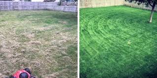 These spring lawn care tips by gilmour will get you off to the right start! Beginner Spring Lawn Care Milorganite