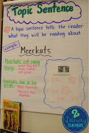 Topic Sentences And Owls By 2 Literacy Teachers Writing Lessons Teaching Writing Topic Sentences