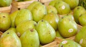 Pear Industry Super Psyched That Rick Ross Is Sharing His Love Of The Fruit With The Young And Hip Consumerist